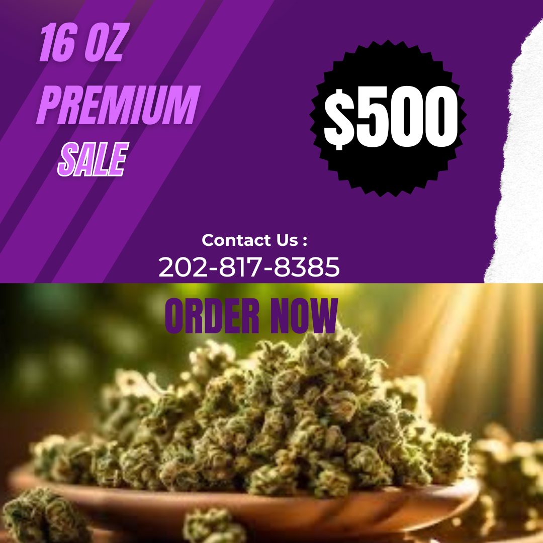 16 0Z PREMIUM SALE